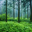 해보축산 이미지