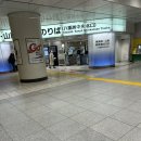 빈방의 빛 | 도쿄<아키타이동 다자와코 순환버스관광~ 뉴토온천향 츠루노유 예약방법및 주의사항