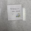 플레르희소 | [뽁치 일상] 💐 평촌 인덕원 "플레르희소" 남자친구 부모님 꽃다발선물 💐 내돈내산 후기