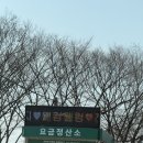 진위천 | 평택 진위천 유원지 캠핑장 무박 캠핑 후기 B53 사이트