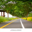 명월공원 이미지