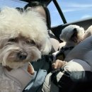 스테이믈믈믈 이미지