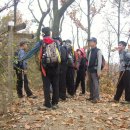 대충산사 제7차 대전시경계종주 2구간(마달령-닭재) 이미지