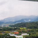 울산콩국 - 울주군 | 울산콩국