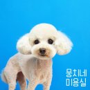 뭉치네 미용실 이미지