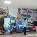 아이스뮤지엄 이미지