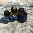 와우공원 이미지