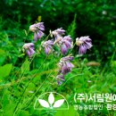 법인서림농원