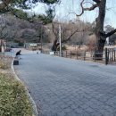 서울서남부농협하나로마트 보라매점 | 2026년1월29일 - 「푸드1번가」에서 마지막일지 모를 식사, 그리고 아쉬운 공지.