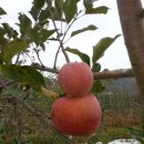 어울림농장 이미지