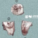 샤인이치과의원 이미지