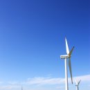 아름드리목장 이미지