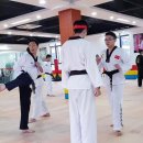 용인대태권스쿨 이미지