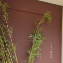UR(전주시)-[아중로]-상-7 | 내돈내먹 51. 전주 와갈비 아중점