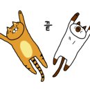 달려라꼼