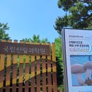 큰숲역사학원 | 고려대 인근 산책하기 좋은 홍릉숲 잠깐 돌아본 후기