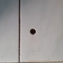 태양 양봉원 이미지