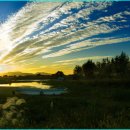 강변체육공원 이미지