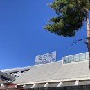 청주종합경기장 | [2024시즌 K리그2 36R] 충북청주FC vs FC안양 직관 후기 / @청주종합경기장