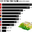 경제 대국 중 최하위 권이라는 한국 식량 자급률 이미지