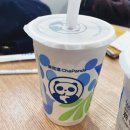 차백도 우롱라떼 &amp; 계화 우롱라떼 솔직 후기🍵