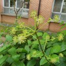 김해봉황초등학교 이미지