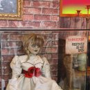 댕편한세상 이미지