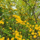 (주)노아건축 이미지