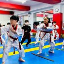 박사 경희대 태권도 이미지