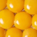 (주)라인호텔명동 이미지