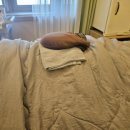 부산광역시 수영구 연수로 320-1    (망미동) 더샵파크리치 아파트 101동 옆 | 광채피부만드는 루틴, 초코테라피