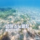 남해 파도 앞 콘크 | 경남 스노클링스팟 추천 남해 항도몽돌해변 온수샤워실
