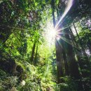 구명한의원 이미지