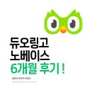 중국어(초중급) | 듀오링고 6개월 후기 | 노베이스 일본어 중국어 독일어 공부 솔직 리뷰