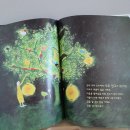 주식회사 몽시 | <책육아>도서출판 아들과딸 - 내 나무 친구