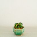 유천농장 이미지