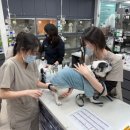 더오래 동물병원 이미지