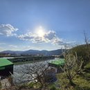 용연낚시터 | 🎣 [용연낚시터 주말 운영 후기 안내]