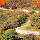 덕산농장2 | 예산여행 추천 코스