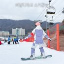 비발디스키아카데미
