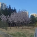 마중공인중개사사무소 이미지