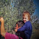 삼창농장 이미지