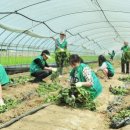 대신주말농장 정보화마을 이미지