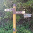 주산중학교 | 낙동정맥 14구간(불랫재~운주산~도덕산~오룡고개)/삼성산제단설치내력비
