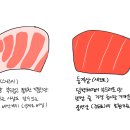 참치여행 이미지