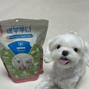 부루펫 | 강아지 습식사료 추천 펫마당 배부루다 급여후기
