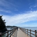 여수애견하우스 이미지