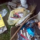 법인비덱