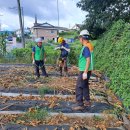 삼죽축구장 이미지