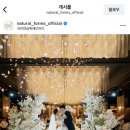 내추럴폼스
